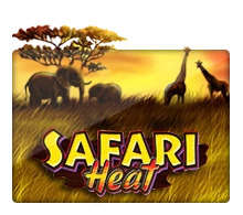 Joker123 : Safari Heat - STARBET388