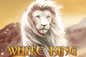 White King - STARBET388