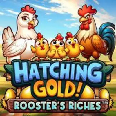 Hatching Gold! Roosters Riches - STARBET388